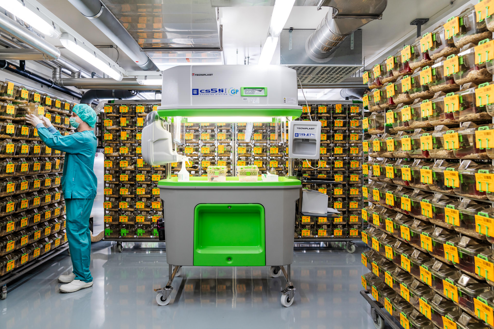 Science photography - animal research University Basel - photographer Philippe Wiget