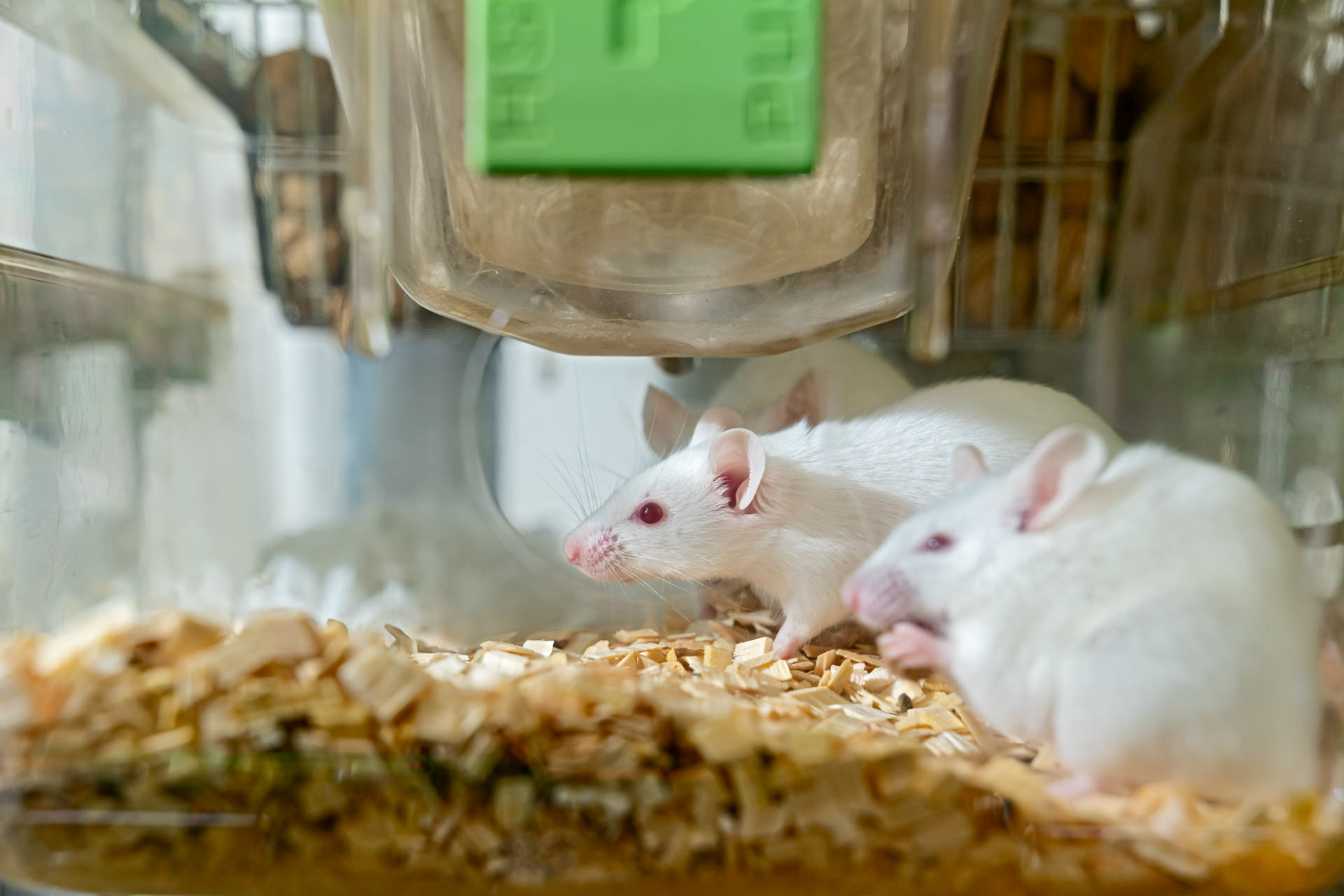 Photography in science environment - corporate science communications, Switzerland