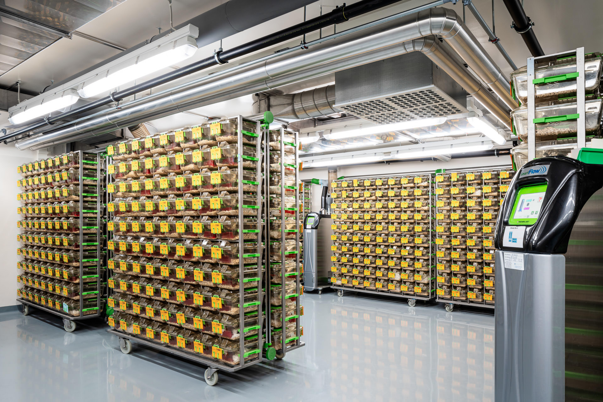 Mouse facility, Pharmazentrum Universität Basel - science photographer Zurich Basel Switzerland by Philippe Wiget