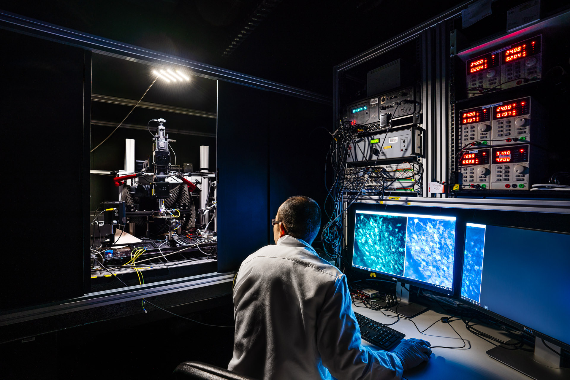 Forscher am Mikroskop, Biozentrum der Universität Basel - Fotografie Key Visuals zu Tierexperimenten für die Kommunikation der Universität Basel