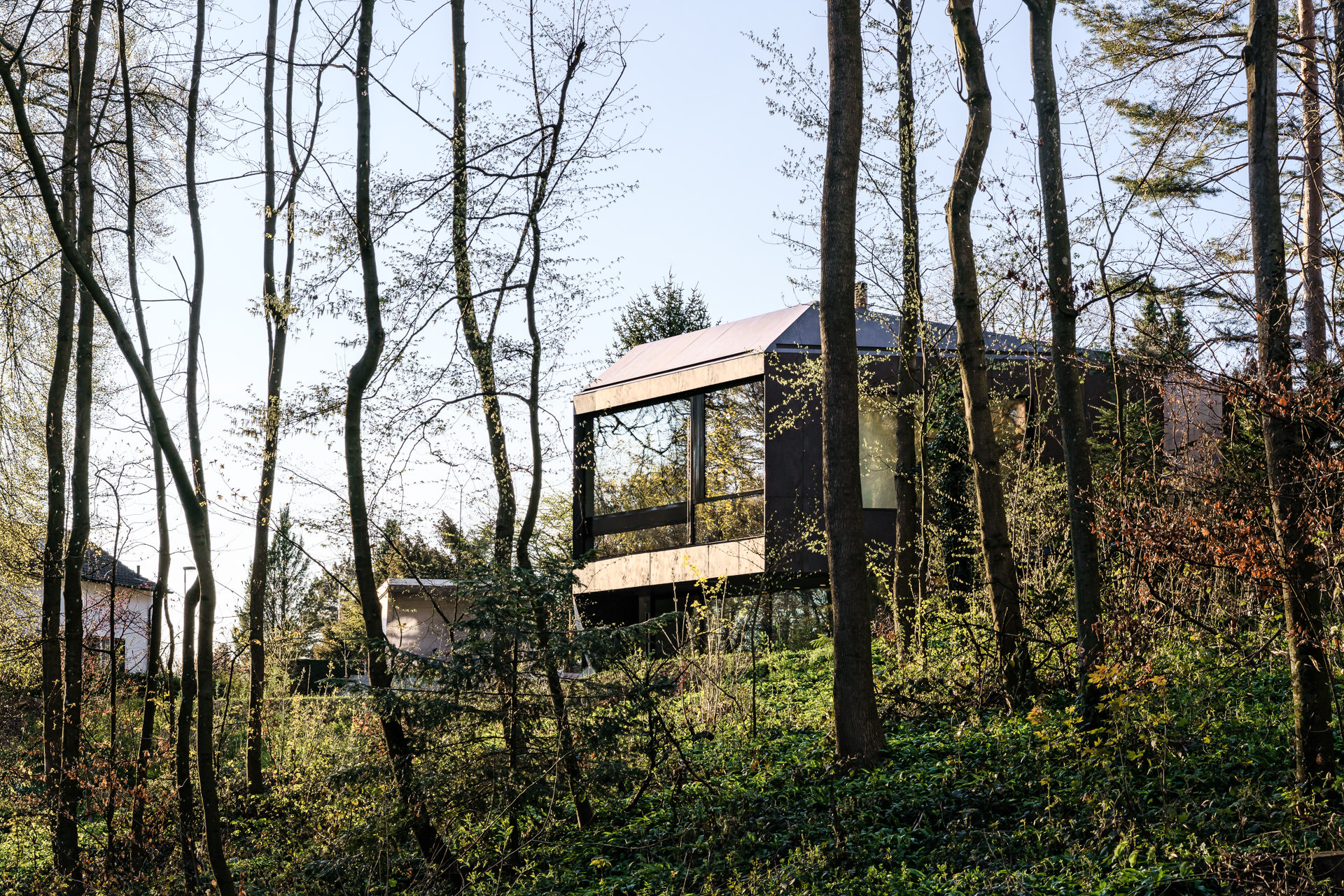 Casa Forest by Daluz Gonzalez Architekten. Design house in the Basel area seen from the forest in fall. Photo by architectural photographer Philippe Wiget