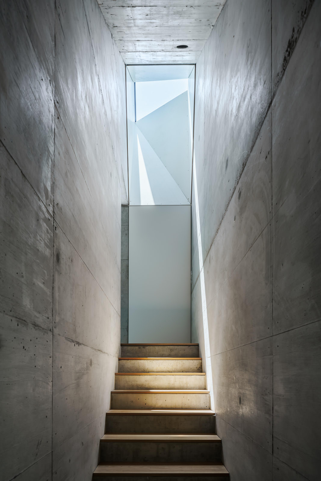 Concrete staircase with skylight and wooden steps in a modern design house.