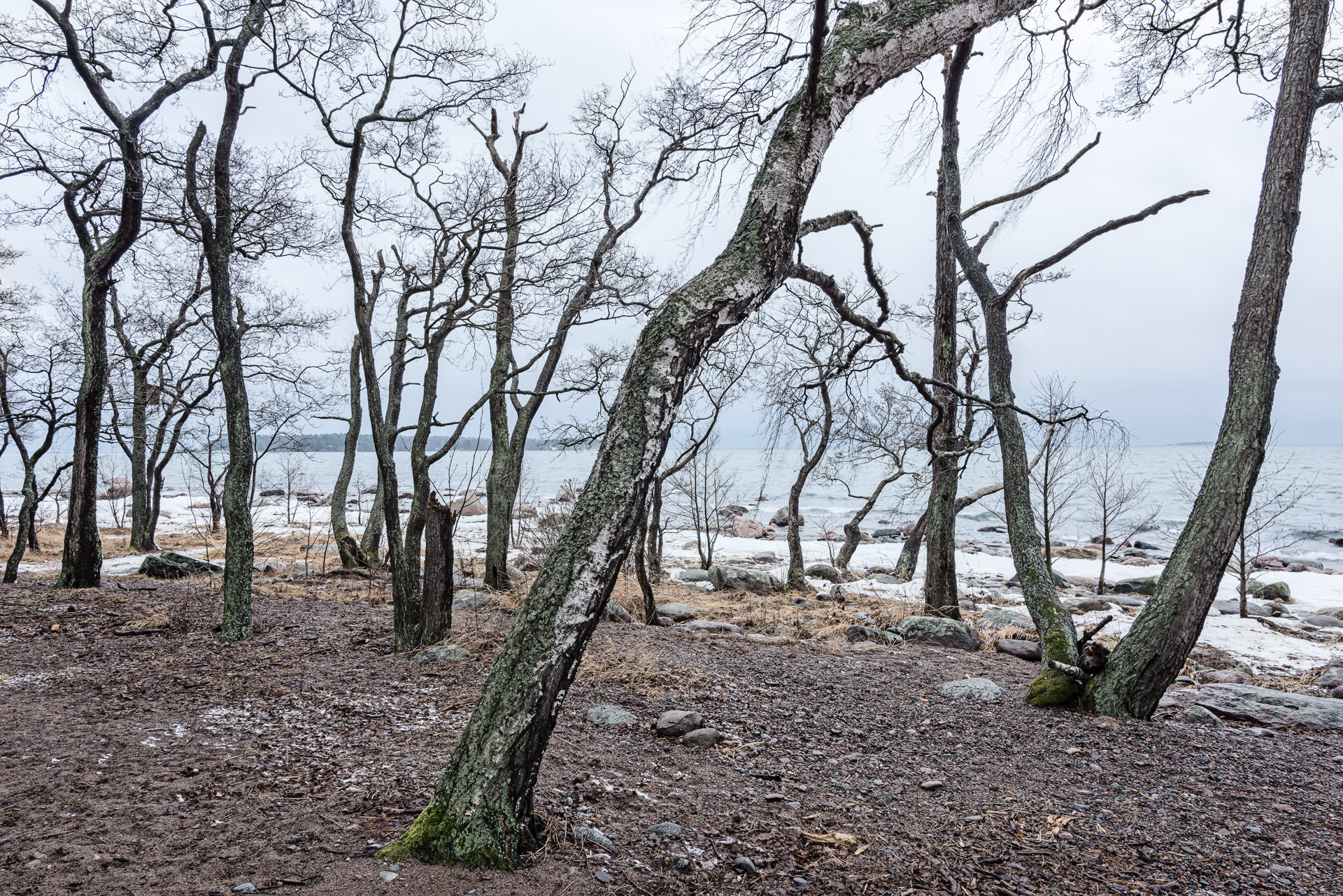 Off-Season, Finnland, Landschaftsfotografie, Kunstfotografie (c) Philippe Wiget