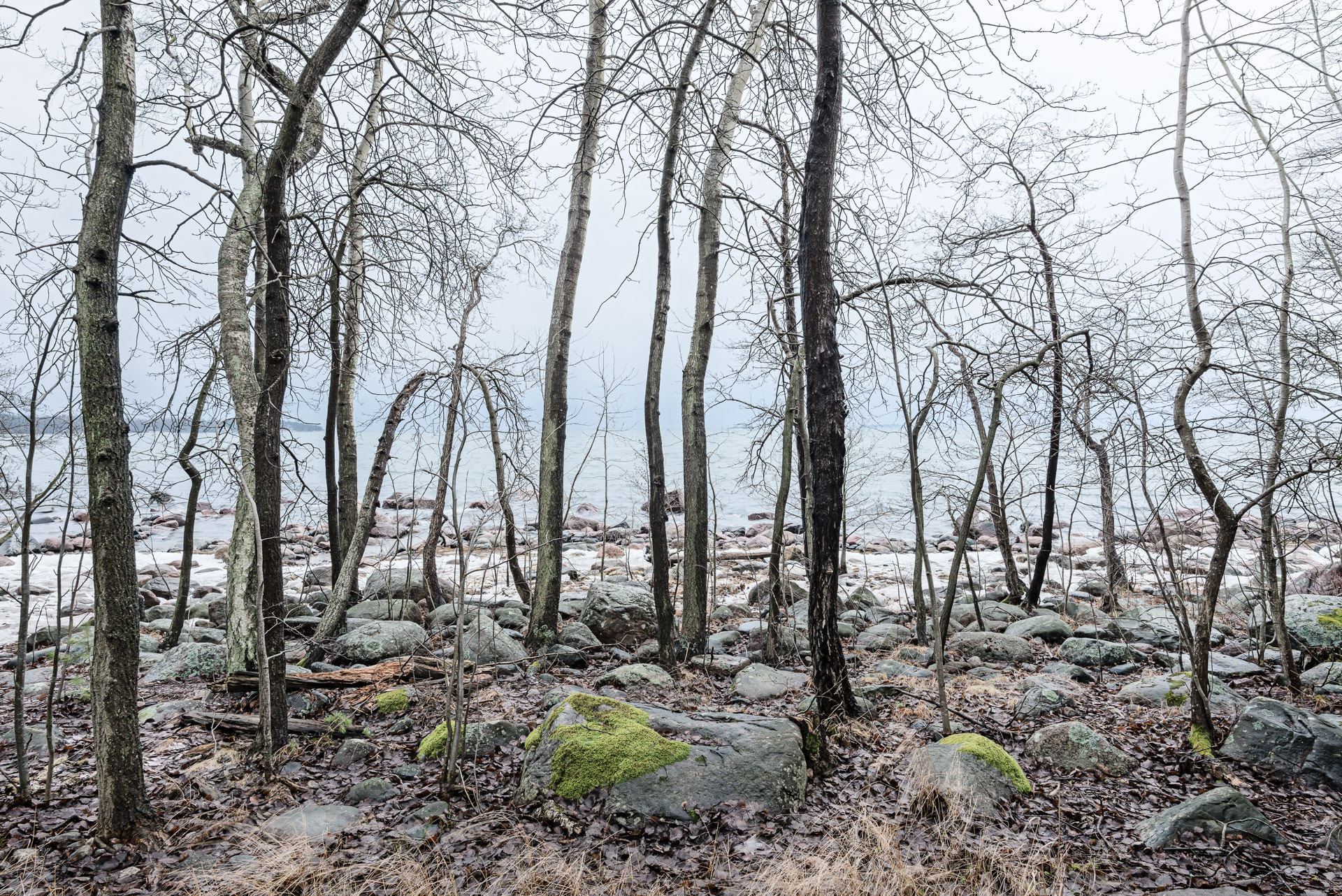 Off-Season, Finnish south coast landscape, Fine Art Photography (c) Philippe Wiget